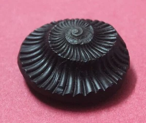 Blessed Sudarshan Shaligram | Nepal Gandaki River Chakra Saligram (SHALIGRAM-08) - Picture 1 of 3