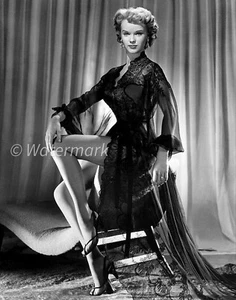 Anne Francis - celebrities - American Broadway actress - 8x10 PUBLICITY PHOTO - Picture 1 of 1