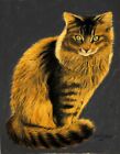 Gary Adelman, "Cat", 12"x16", Animals, Original, Cat, Pastel, Realism