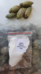 Betelnut Chew (Lime Powder, Young Baby Betelnut 20+ pcs FREE 5pc dried Betel nut - Picture 1 of 2