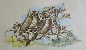 Búhos lindos en extremidad de árbol 1972 impresión litográfica Cunningham Art Products por J. O'Brien M3 - Imagen 1 de 7