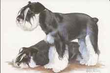 Glossy UNUSED MINIATURE SCHNAUZERS Drawing Color Art Chinese Publishing Postcard