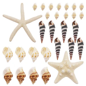 Mixed Lots 82PCS/Set Starfish Conch Shell for Fish Tank Aquarium Decor Ornament - Picture 1 of 7