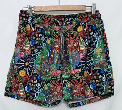 2510066 Hombres L PANGEA Bañador Multicolor Pantalones Cortos Usado en Excelente Condición Foto 1 de 4