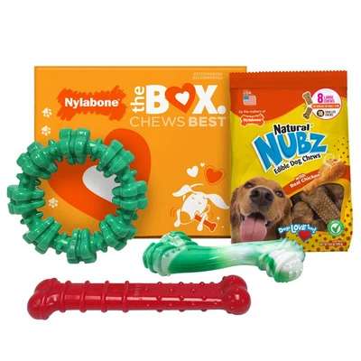 Nylabone Juguetes Masticables para Perros Caja de Regalo de Vacaciones 4 unidades con Golosinas NUBZ Potente Masticador Foto 1 de 4