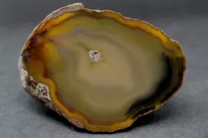 Condor agate collector specimen - Picture 1 of 4