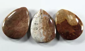 Three (3) Colorful Petrified Wood 30x40mm Teardrop Focal Beads (293) - Picture 1 of 2