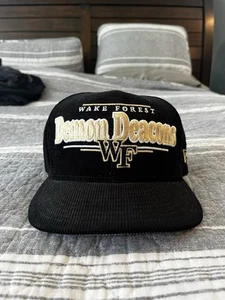Wake Forest Demon Deacons Throwback Display New Era 9FIFTY Snapback Hat SOLD OUT - Picture 1 of 6
