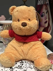 Gund Winnie Pooh Plush Oh So Snuggly Baby Toy Stuffed Animal nEW - Picture 1 of 8
