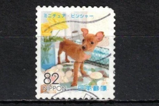 JAPÓN 2015 ANIMALES FAMILIARES USADOS Foto 1 de 1