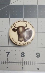 1912 Alburtis PA Woodrow W Wilson & Marshall Ox Roast Pin - Picture 1 of 3