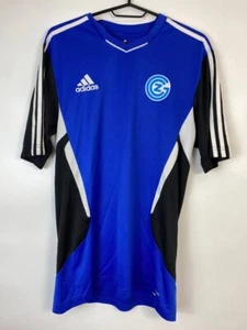 CAMISA DE ENTRENAMIENTO DEL CLUB GRASSHOPPER CAMISETA ADIDAS O07731 Talla M - Imagen 1 de 7
