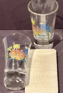 2 Jimmy Buffett’s Margaritaville Shot Glasses, Orlando, fluted - Picture 1 of 5