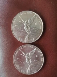 2004 and 2005 Mexican Libertads, 1 ounce coins - Picture 1 of 2