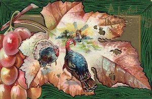 Nash Series No 5 Gold Embossed Turkeys Windmill Grapes Thanksgiving Postcard - Bild 1 von 2