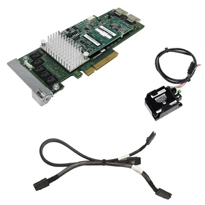 Fujitsu Primergy D3116-C26 6Gb PCIex8 1GB SAS RAID Controller BBU 2xSAS Cable LP - Foto 1 di 6