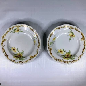 Limoges Porcelain Floral Berry Bowls Wm Guerin Set 2 Vintage Antique Cottage - Picture 1 of 5