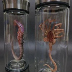 Alien Jar Xenomorph Specimen Facehugger Embryo Glass Jar Movie Prop Replica - Picture 1 of 11