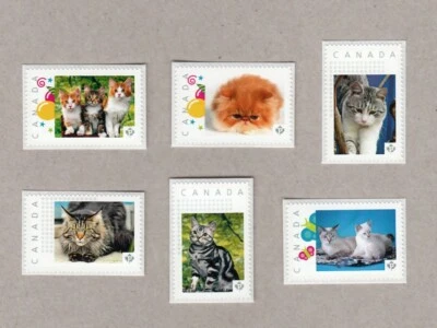 DOMESTIC CATS, KITTENS = Set 6 Picture Postage stamps MNH Canada 2016 [p16/03dc6 - Image 1 of 2