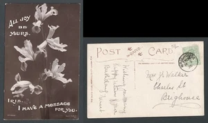 Postal de flores de iris 1906 KEVII Brighouse Yorkshire cancelada - Imagen 1 de 3