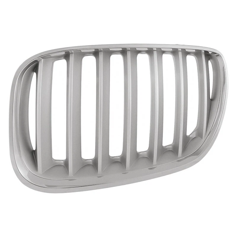 Grille For BMW X5 2004-2006 Driver Side 51137124815 Foto 1 de 1