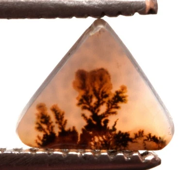 Piedra preciosa certificada de ágata dendrítica natural de 9,40*9,40 mm Foto 1 de 4