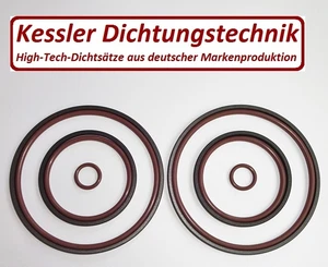 BMW Doppel Vanos Dichtungen Dichtsatz Reparatursatz M52TU M54 M56 wie Beisan - Bild 1 von 1