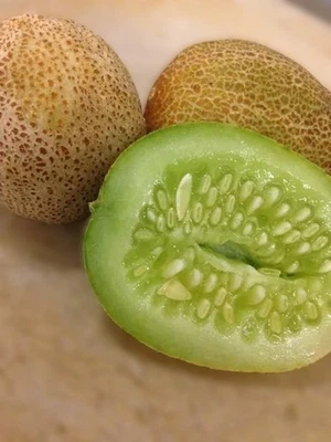 Organic Little Potato Cucumber Heirloom 8 Seeds - Aussie Backyard Grown - Image 1 of 4