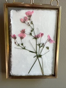 Dried Flowers In Gold Frame,real,cute,original,miniature small,mini,framed - Imagen 1 de 8