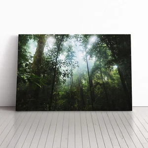 Landschaft Dschungel Regenwald (2) Leinwand Wandbild Kunstdruck gerahmtes Bild Wohndeko - Bild 1 von 7