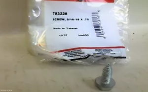 Tornillo genuino Briggs & Stratton 703228 (OF5B8) - Imagen 1 de 3