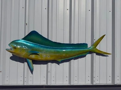 Réplica de montagem de peixe de dois lados golfinho vaca (Mahi) 51" - Em estoque e pronta para envio - Imagem 1 de 4