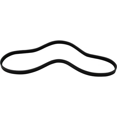 For Hyundai Santa Fe Drive Belt 2001-2006 Serpentine Belt Power Steering - Image 1 of 4