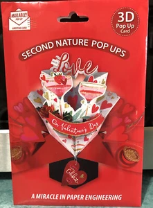 Biglietto di auguri pop up San Valentino 3D di Second Nature - OCCHIALI CHAMPAGNE - NUOVO CON SCATOLA - Foto 1 di 4