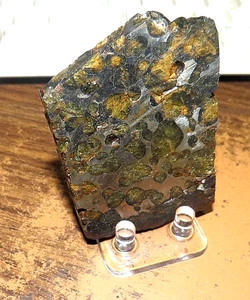 98 gm SERICHO pallasite Meteorite slice   Kenya  olivine  stand - Picture 1 of 7