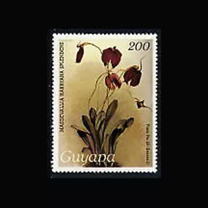 Guyana, Sc #1213, MNH, 1988, Orchid, Flora, Flowers, Plants - Picture 1 of 1