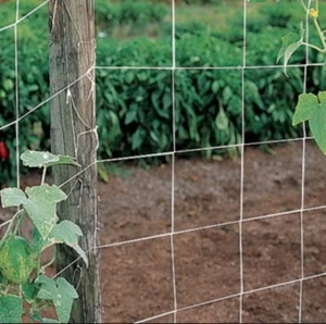 60 ft of garden trellis netting - Picture 1 of 3