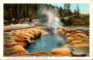 Oblong Geyser Crater Yellowstone National Park Postcard - Picture 1 of 2
