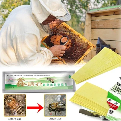 20pcs Bee Mites Strip Medicine Pest Control Durable Tool Drinker For Beekeeper - Image 1 of 4