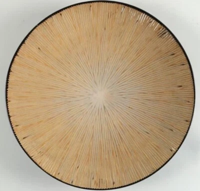 1 prato de jantar de bambu Sumatra por Z Gallerie 11,5 polegadas cinza claro - Imagem 1 de 4