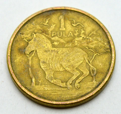 BOTSWANA 1 PULA 2013 OLD COIN Cover