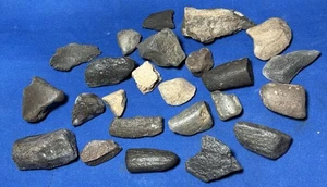 Great Jewelry Sized  Lot Of (20+) Ancient Dugong Bones, Great Starter  Set - Picture 1 of 13