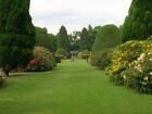 Photo 6x4 Kinross House Gardens Fine gardens open to the public in Summer c2008