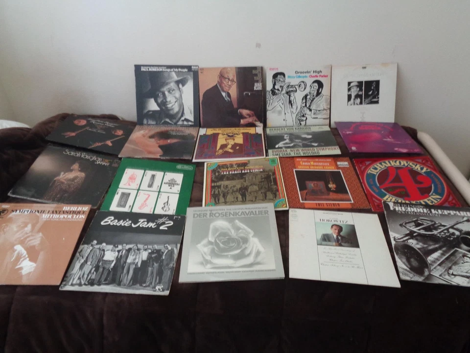 19 DIFFERENT CLASSICAL lp lot VINYL HOROWITZ CHARLIE PARKER VAUGHN BASIE ETC... - Image 1 of 1
