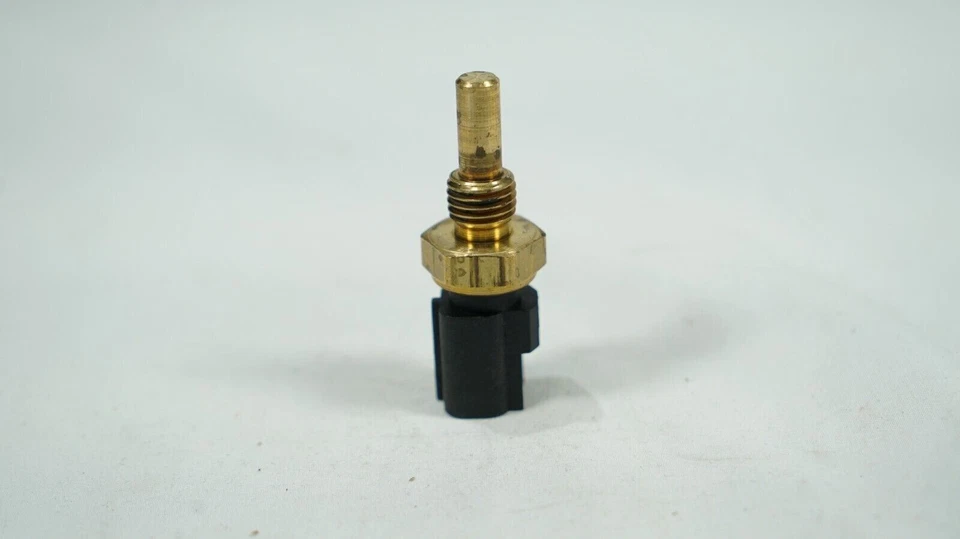 Sensor de temperatura do líquido de arrefecimento do motor Delphi TS10198 - Imagem 1 de 4