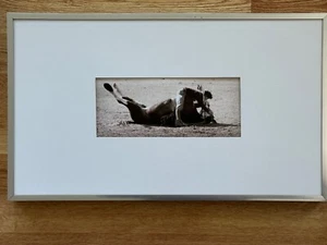 WARD RUSSELL PHOTOGRAPHER GAUCHO LOVE FRAMED/MATTED PHOTO 11.5" X 19.5" - Picture 1 of 4