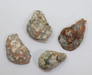 Cystoidea, Heliocrinites sp., Ordovizium, Osmundsberg, Schweden -i134 - Picture 1 of 9