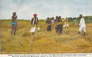 INDIA - Cartolina Il gancio della raccolta - Foto 1 di 2