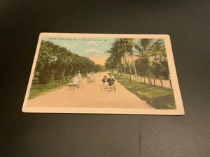 Palm Beach, Fla. ~ Typical Palm Beach Scene - Unposted Antique Postcard - Picture 1 of 2