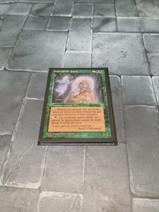 MTG Magic The Gathering Willow Priestess Homelands LP Green Rare Portuguese - Picture 1 of 2